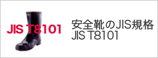 JIST8101